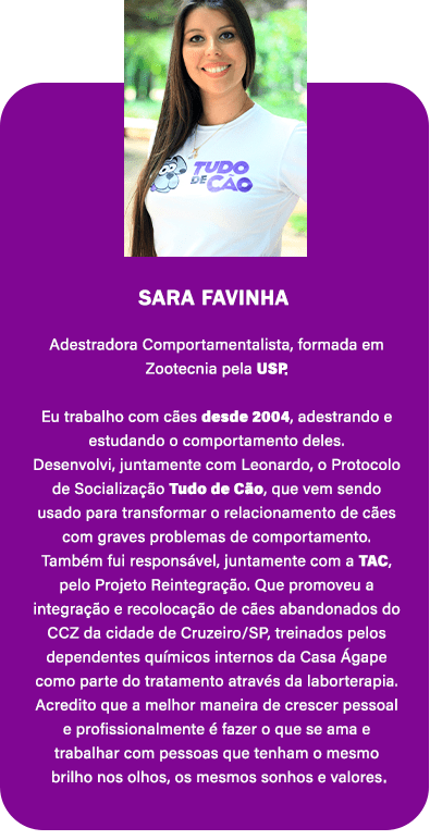 Cópia de Sara Favinha 2.00 mobile