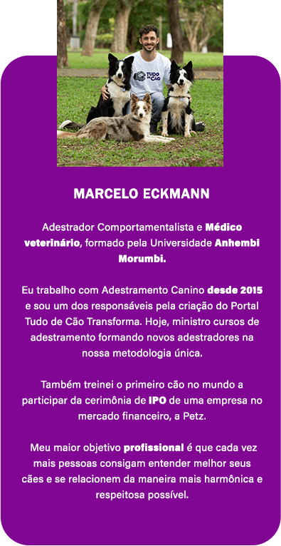 Marcelo Eckmann 1d5sere